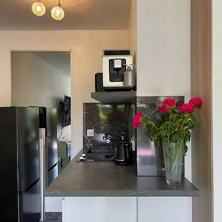 Croisette Pearl Apartment Cannes