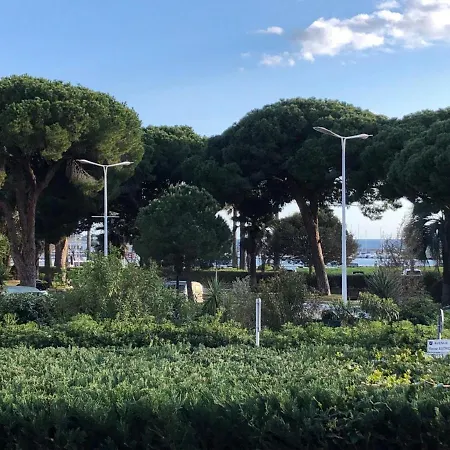 Croisette Pearl Cannes